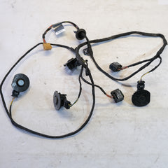 8w0971104P CABLAGGIO SENSORI PARCHEGGIO POSTERIORI AUDI A8 8W 2015> 10SCABVARI