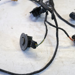 8w0971104P CABLAGGIO SENSORI PARCHEGGIO POSTERIORI AUDI A8 8W 2015> 10SCABVARI