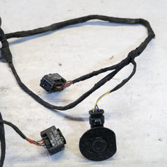 8w0971104P CABLAGGIO SENSORI PARCHEGGIO POSTERIORI AUDI A8 8W 2015> 10SCABVARI