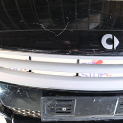 A4548850122 PARAURTI ANTERIORE CENTRALE SMART Forfour 1° Serie (04>06) bx51