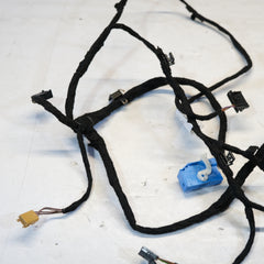 4M0971035CD CABLAGGIO PANNELLO PORTA ANT, SINISTRO AUDI Q8 2018> 10SCABVAR