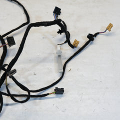 4M0971035CD CABLAGGIO PANNELLO PORTA ANT, SINISTRO AUDI Q8 2018> 10SCABVAR