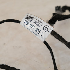 4m8971036l CABLAGGIO PANNELLO PORTA POSTERIORE DESTRO AUDI Q8 2018> 10SCABVA