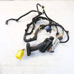 9834129780 CABLAGGIO PORTA POSTERIORE SX PEUGEOT 208 Serie (19>) 10G