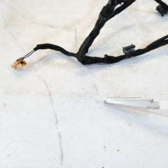 4m8971036d CABLAGGIO PANNELLO PORTA ANTERIORE DESTRO AUDI Q8 2018> 10GK