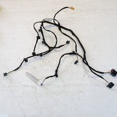 4m8971693ah CABLAGGIO PANNELLO PORTA POST. SX DX AUDI Q8 2018> 10GK