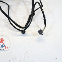 4m8971693be CABLAGGIO PANNELLO PORTA POST. SINISTRO AUDI Q8 2018> 10SCABVAR