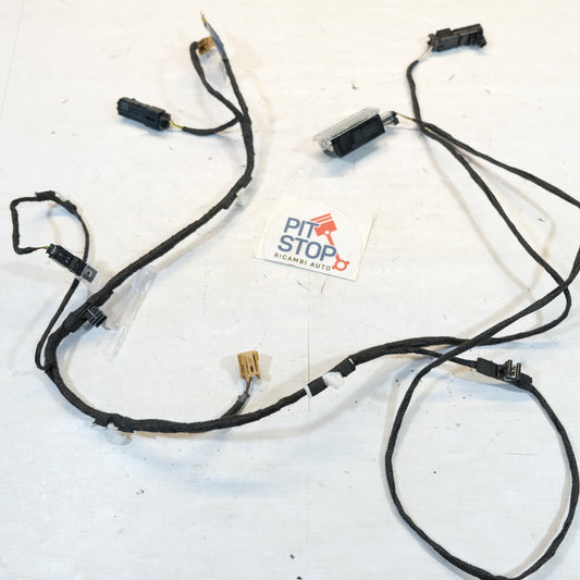 80a971693AB CABLAGGIO PANNELLO PORTA PORTIERA POST. SINISTRO AUDI Q5 2017> 10SCABVA