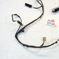 80a971693AB CABLAGGIO PANNELLO PORTA PORTIERA POST. SINISTRO AUDI Q5 2017> 10SCABVA