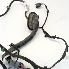 JX6T14633 CABLAGGIO PORTA PORTIERA POST. SINISTRA FORD FOCUS MK4 2018> 10G