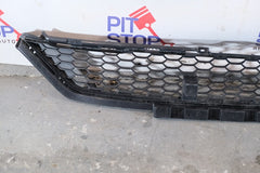 p10628332 GRIGLIA PARAURTI ANTERIORE MG HS BX51