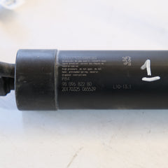 9809682280 PISTONE AMMORTIZZATORE COFANO POST. PEUGEOT 3008 2016/2020 12s