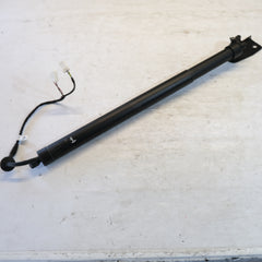 9809682280 PISTONE AMMORTIZZATORE COFANO POST. PEUGEOT 3008 2016/2020 12s