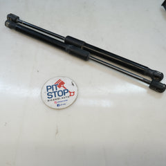 1S6827550D COPPIA PISTONCINI AMMORTIZZANTI COFANO POSTERIORE UP 10S