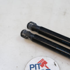 1S6827550D COPPIA PISTONCINI AMMORTIZZANTI COFANO POSTERIORE UP 10S