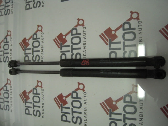 Pistoncini cofano Post. - Audi A8 2è Serie Restyling (4e2) - Pit Stop Ricambi Auto