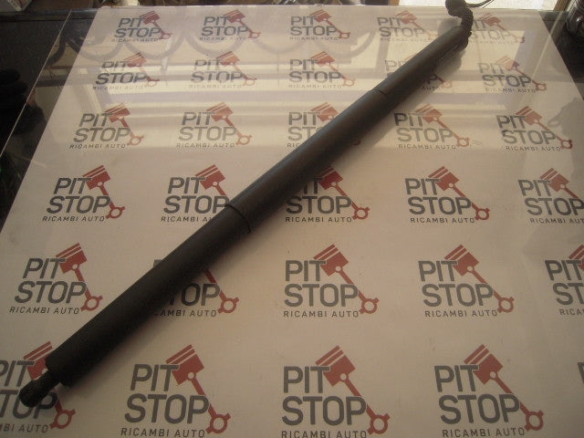 Pistoncini cofano Post. - Ford Kuga Serie (cbs) (13>15) - Pit Stop Ricambi Auto