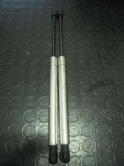 Pistoncini cofano Post. - Audi A8 2è Serie Restyling (4e2) - Pit Stop Ricambi Auto