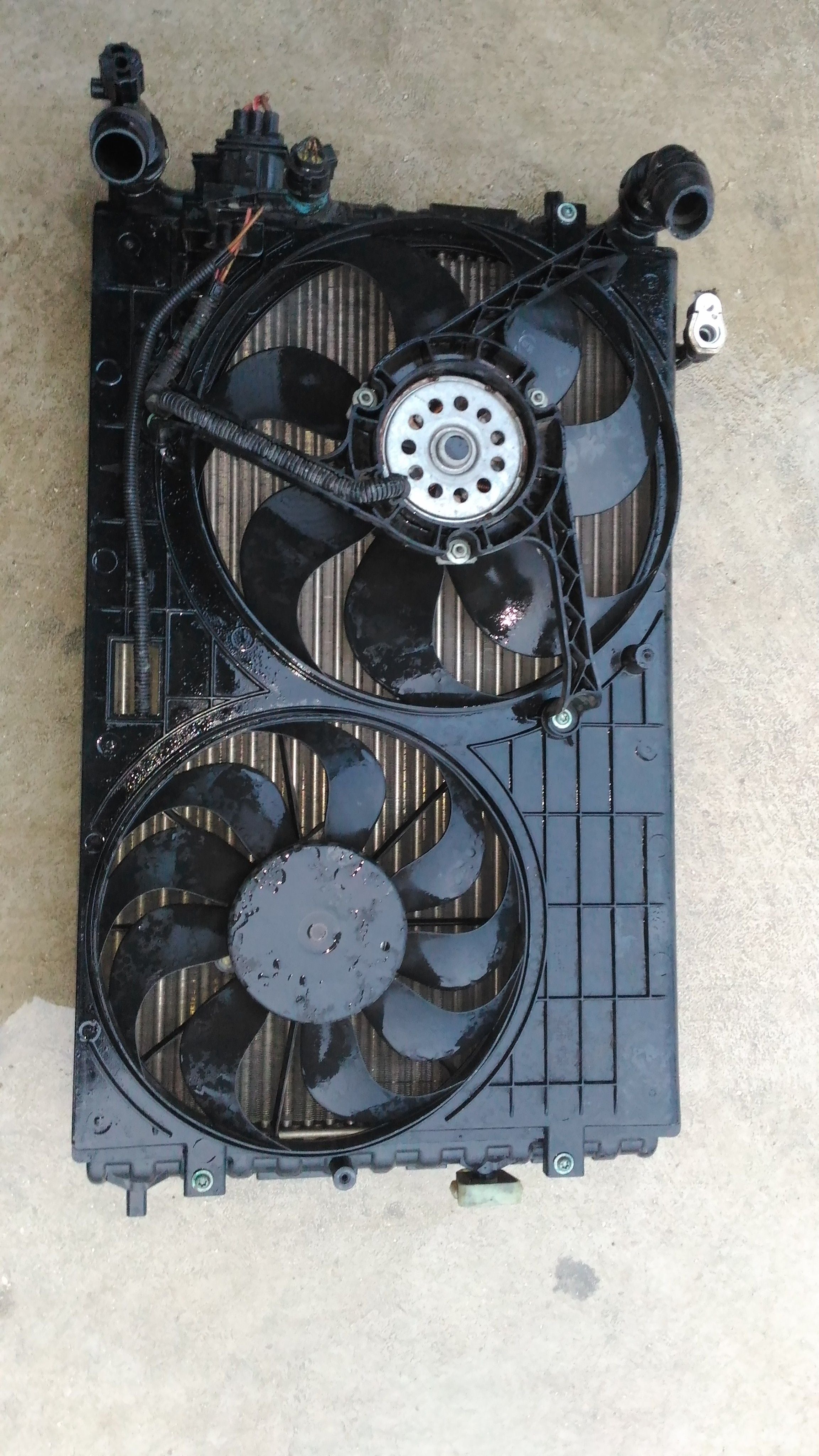 Ventola radiatore - Skoda Fabia Berlina 1è Serie - Pit Stop Ricambi Auto