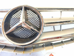 A1698881360 193610001 GRIGLIA ANTERIORE MERCEDES CLASSE A W169 2008-2012 BX51