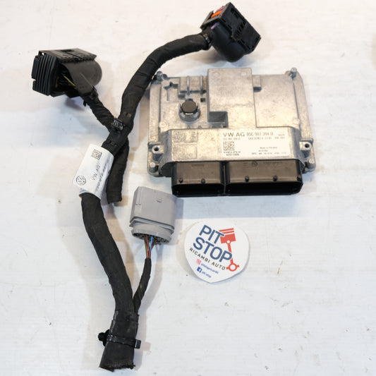 CENTRALINA MOTORE ECU VOLKSWAGEN T-Roc 05C907394D 1.0 benz DELPHI (17>) 12S