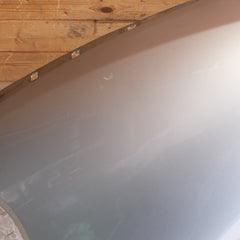 PARAFANGO ANTERIORE SINISTRO VOLKSWAGEN New Beetle 1° Serie (98>10) bx51