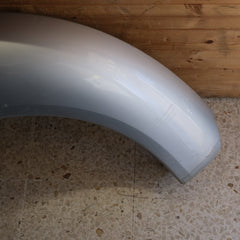 PARAFANGO ANTERIORE SINISTRO VOLKSWAGEN New Beetle 1° Serie (98>10) bx51