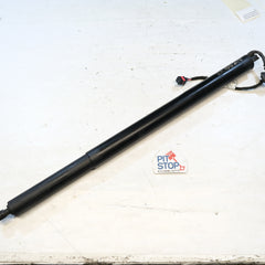 00505658110 PISTONE PISTONCINO AMMORTIZZATORE ELETTRICO POSTERIORE ALFA ROMEO 12S