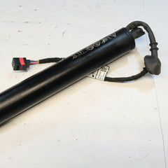 00505658110 PISTONE PISTONCINO AMMORTIZZATORE ELETTRICO POSTERIORE ALFA ROMEO 12S