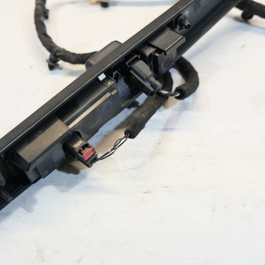 L1TB-19B514-BB TELECAMERA MANIGLIA PORTELLONE POST FORD PUMA 2019> 12S